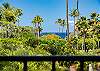 Balcony view of lush palms with sparkling blue ocean beyond.