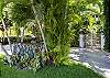 Aloha and welcome to The Windsor condominium!