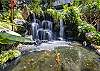 Koi point and waterfall feature high light this tranquil area that leads your to the main lobby entrance.