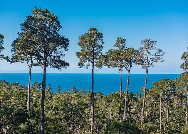 3707 Pacific's Edge Sanctuary 3