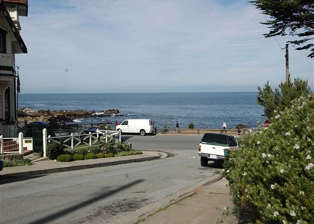 3119 Yellow House Guest 3