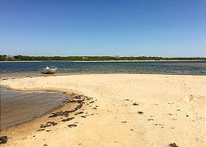 Oyster Pond  Pond Side