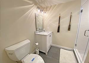 Lower Level Family Room Bathroom