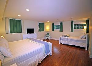 Lower level King  Twin bedroom