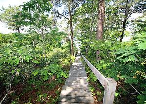 Stairs to beach