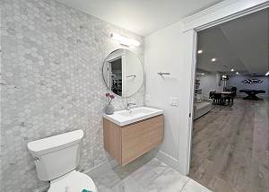 Lower level bathroom