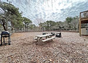 Backyard with Basketball Court