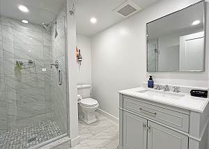 Lower level bathroom