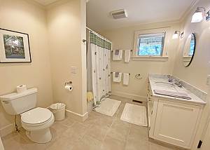 Lower level bathroom