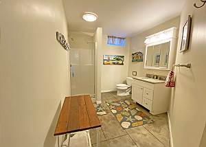 Lower level bathroom