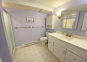 Lower level bathroom