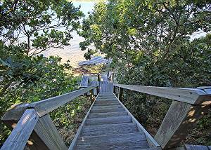 Stairs to the beach