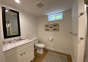 Lower level bathroom