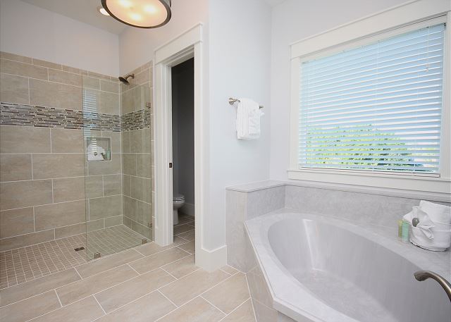 Master Bath with Garden Tub & Stand Alone Shower Master Bath with Garden Tub & Stand Alone Shower