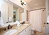Guest Bathroom (bath/shower) Guest Bathroom (bath/shower)