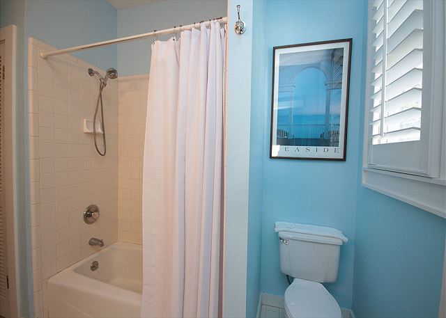 Full Bath/Shower Combo Full Bath/Shower Combo