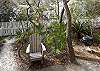 Grill out in the midst of palmettos and muscadine vines Grill out in the midst of palmettos and muscadine vines