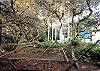 Lush Grounds with Inviting Hammock Lush Grounds with Inviting Hammock
