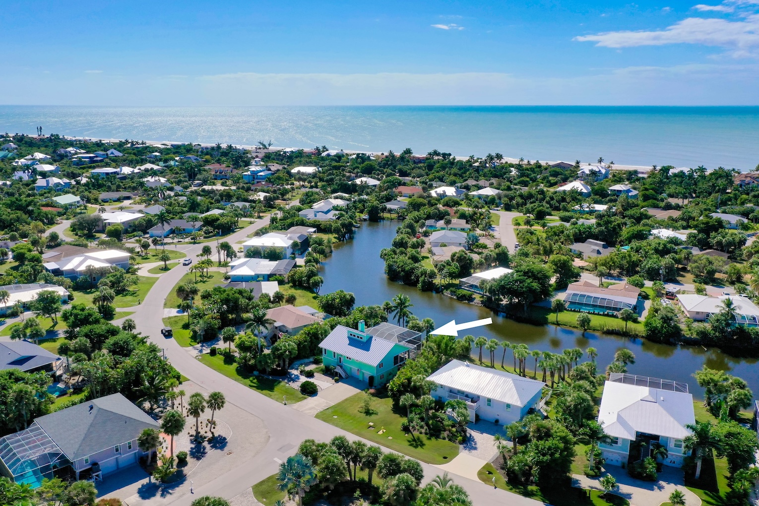 The Turtle Nest | Photo 3