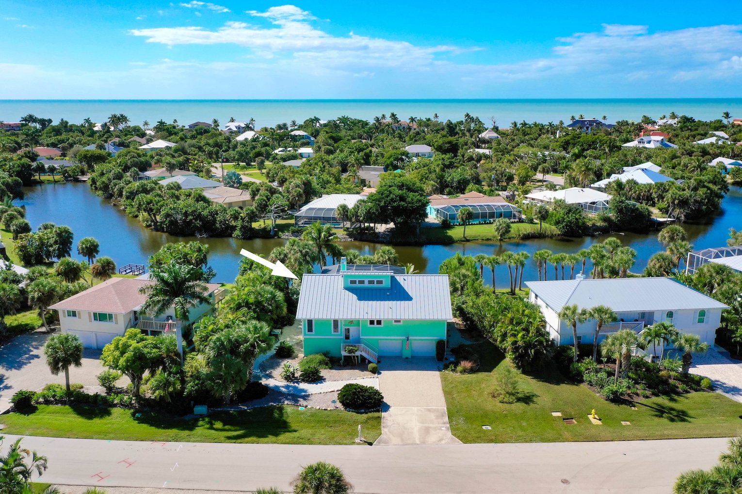 The Turtle Nest | Photo 2