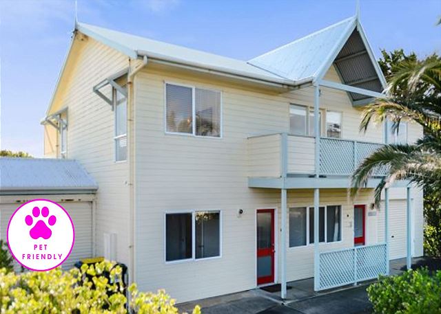 Surf Lovers - 28 Seagull Ave, Chiton