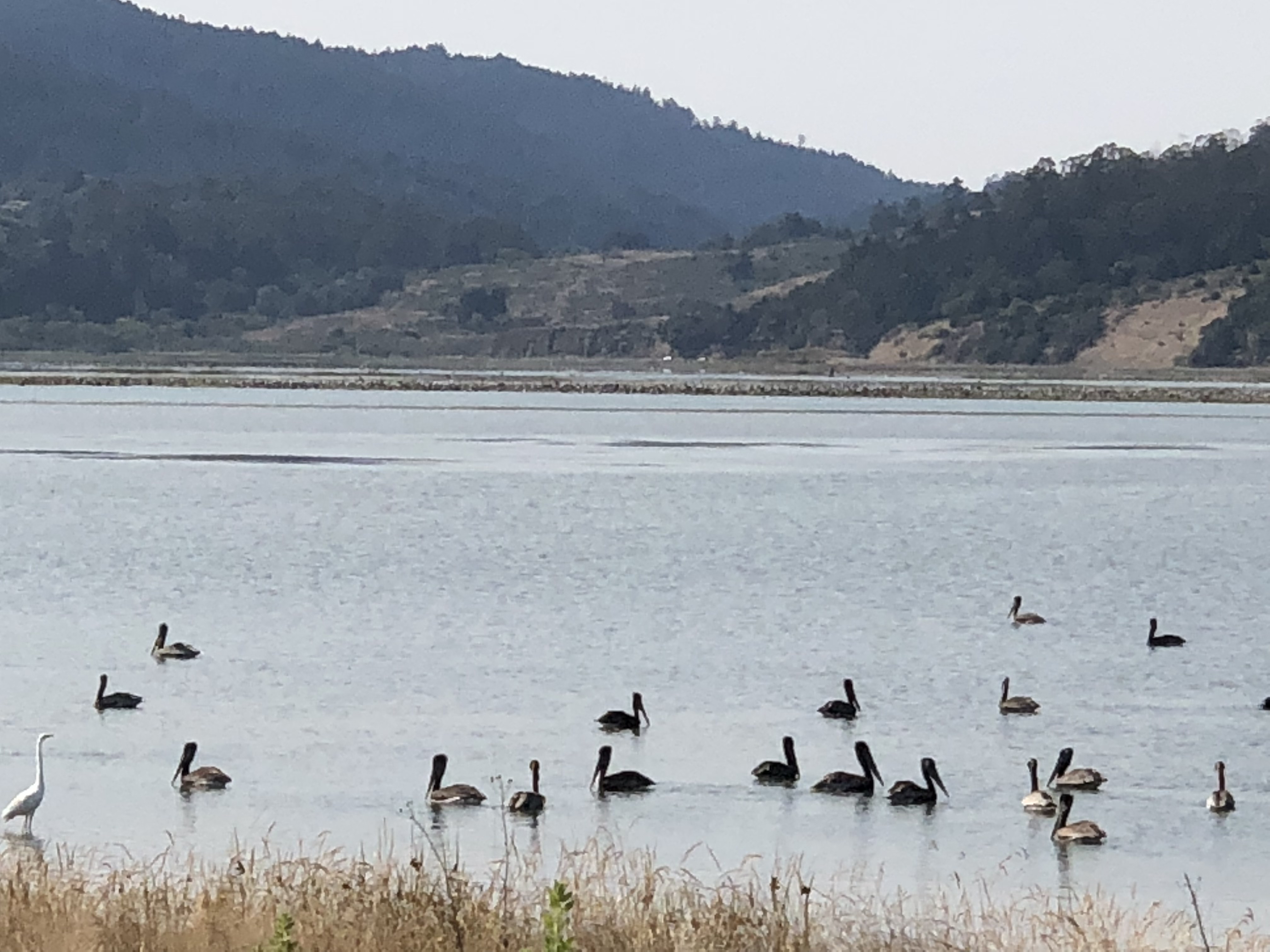 109 Dipsea Road | Photo 20