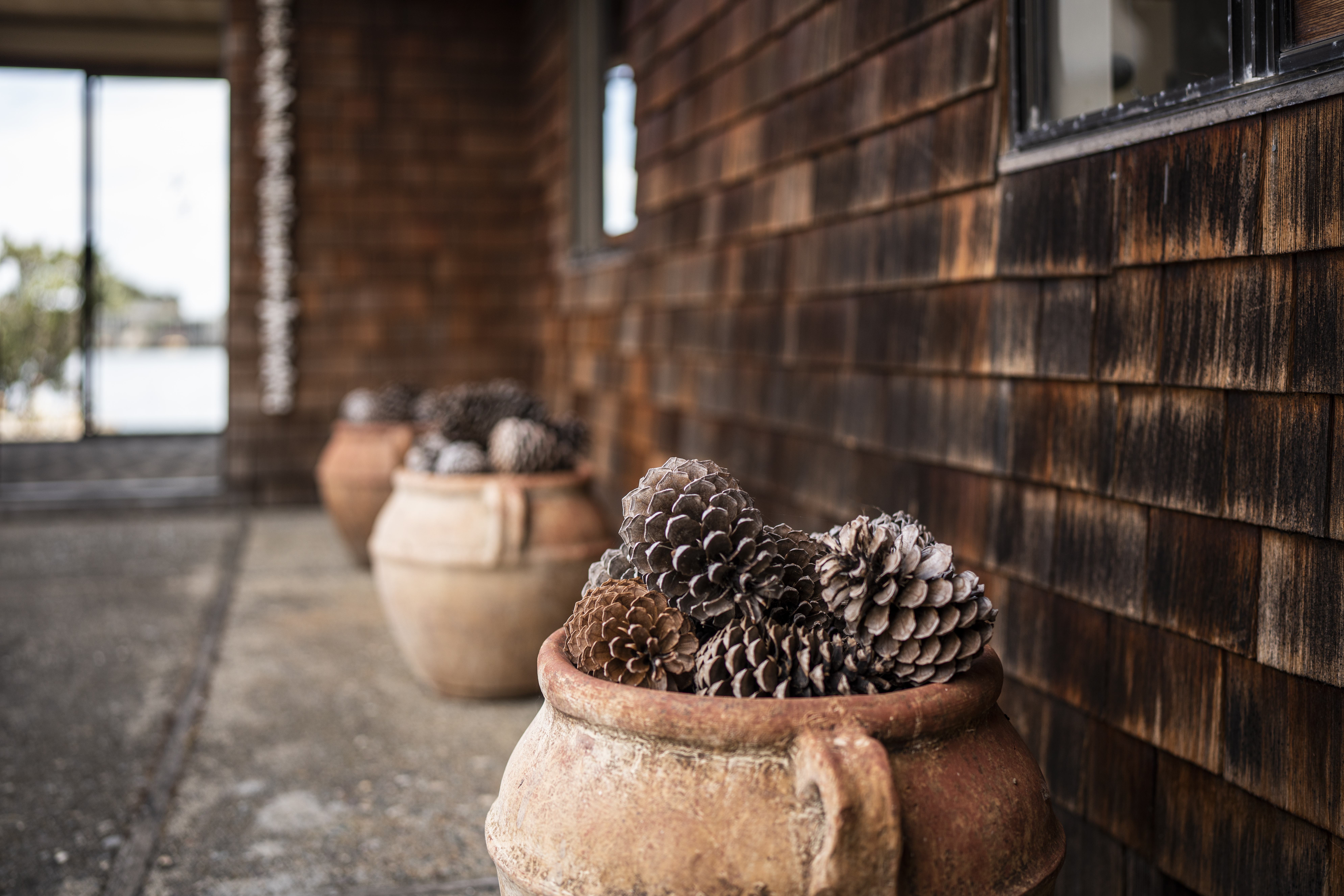 109 Dipsea Road | Photo 16