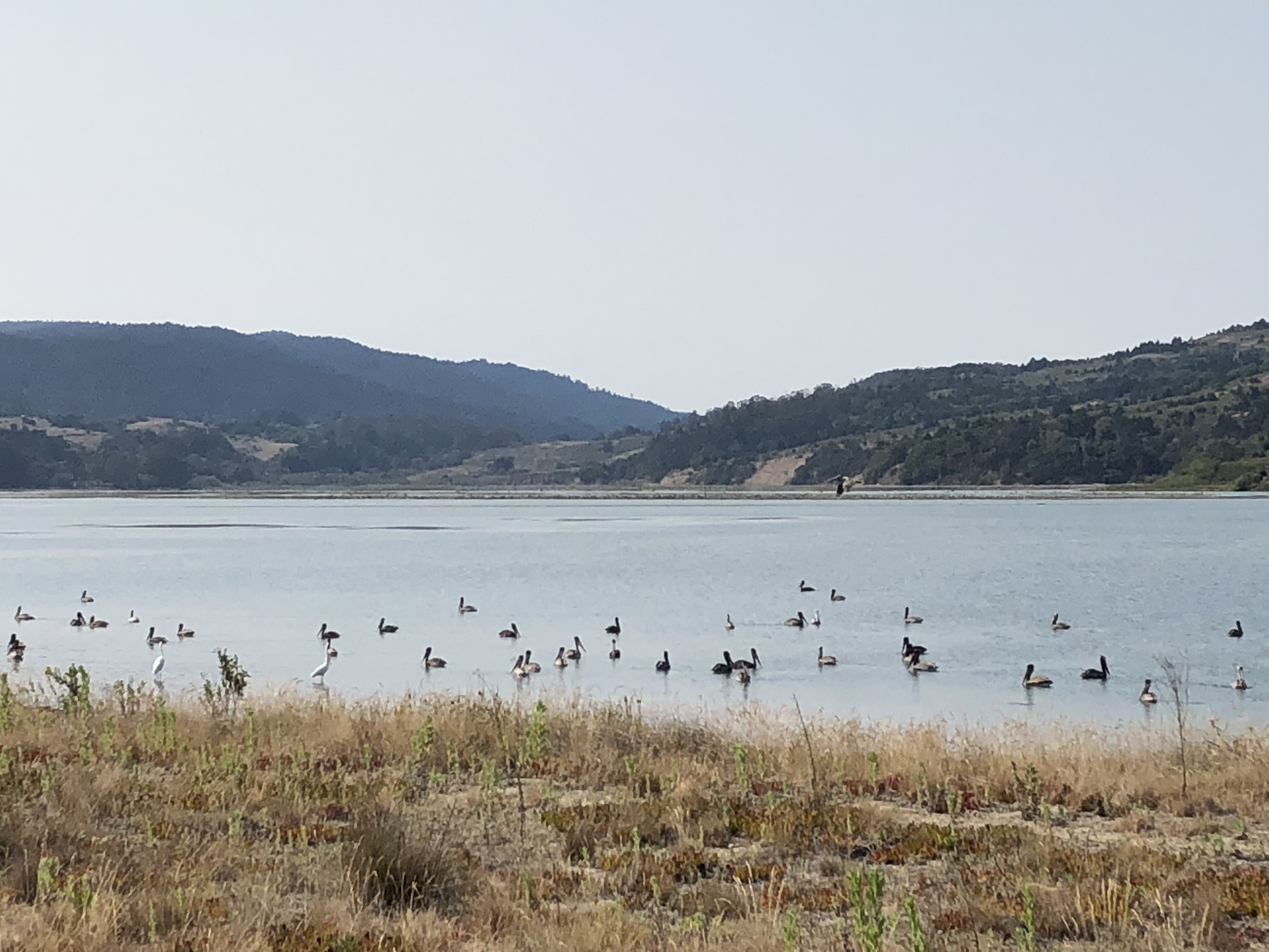 109 Dipsea Road | Photo 21