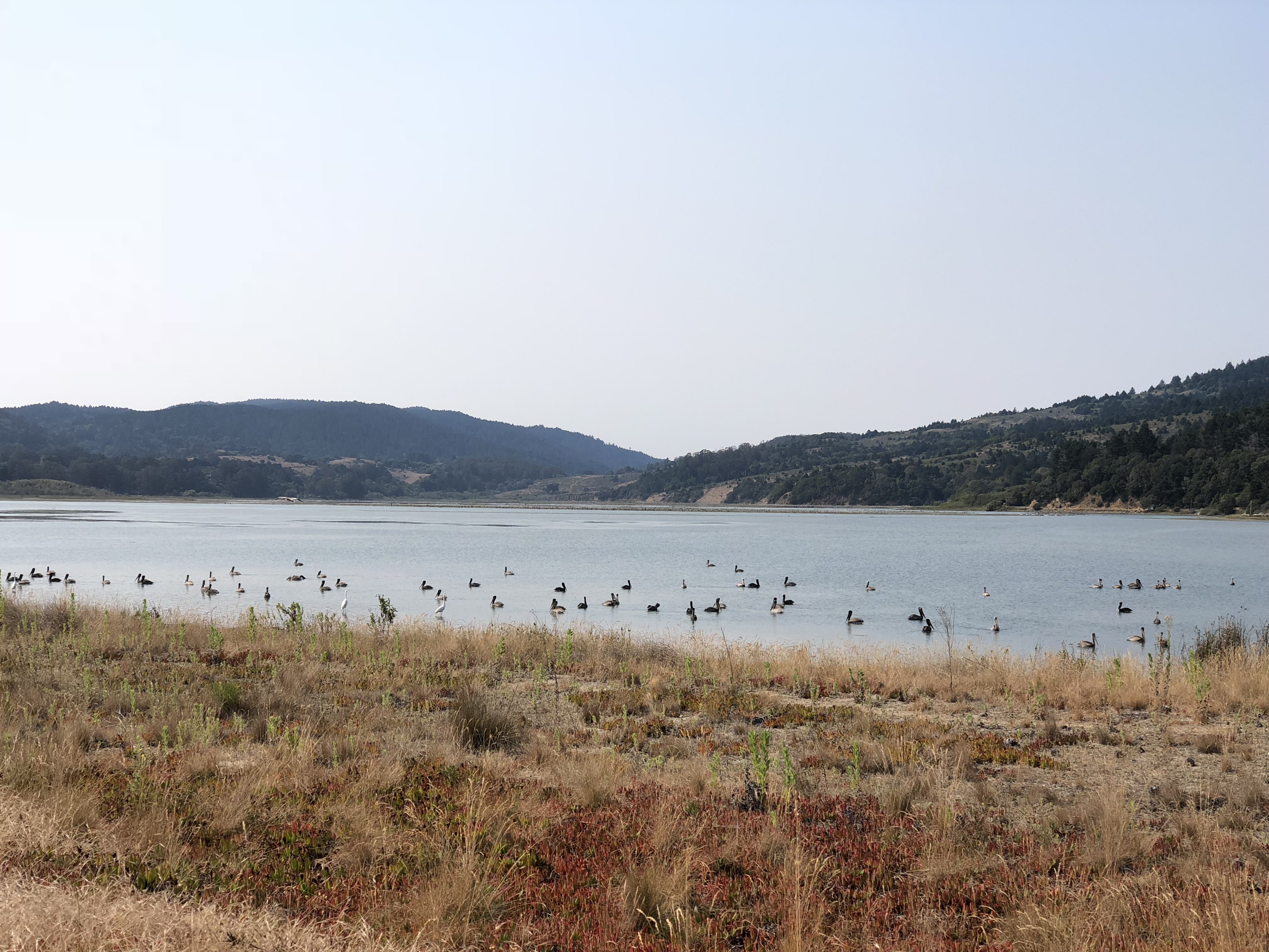 109 Dipsea Road | Photo 22