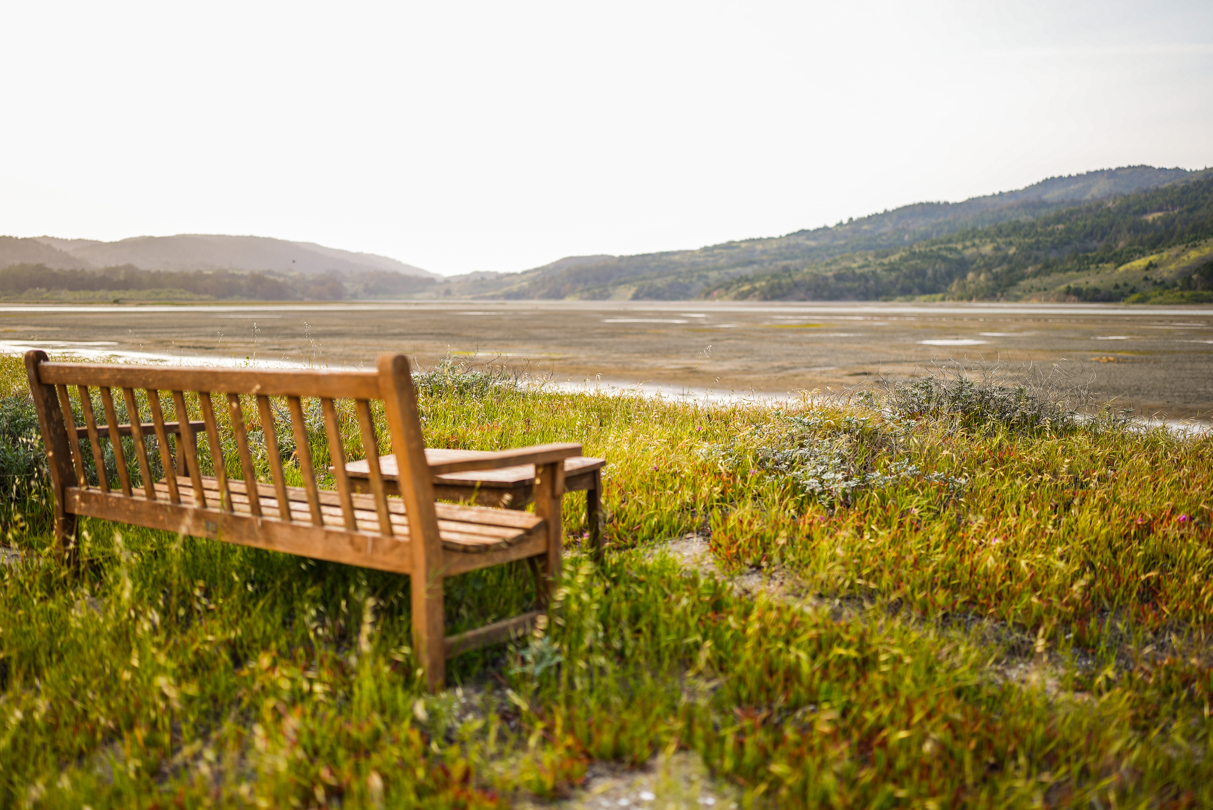 181 Dipsea Road | Photo 35