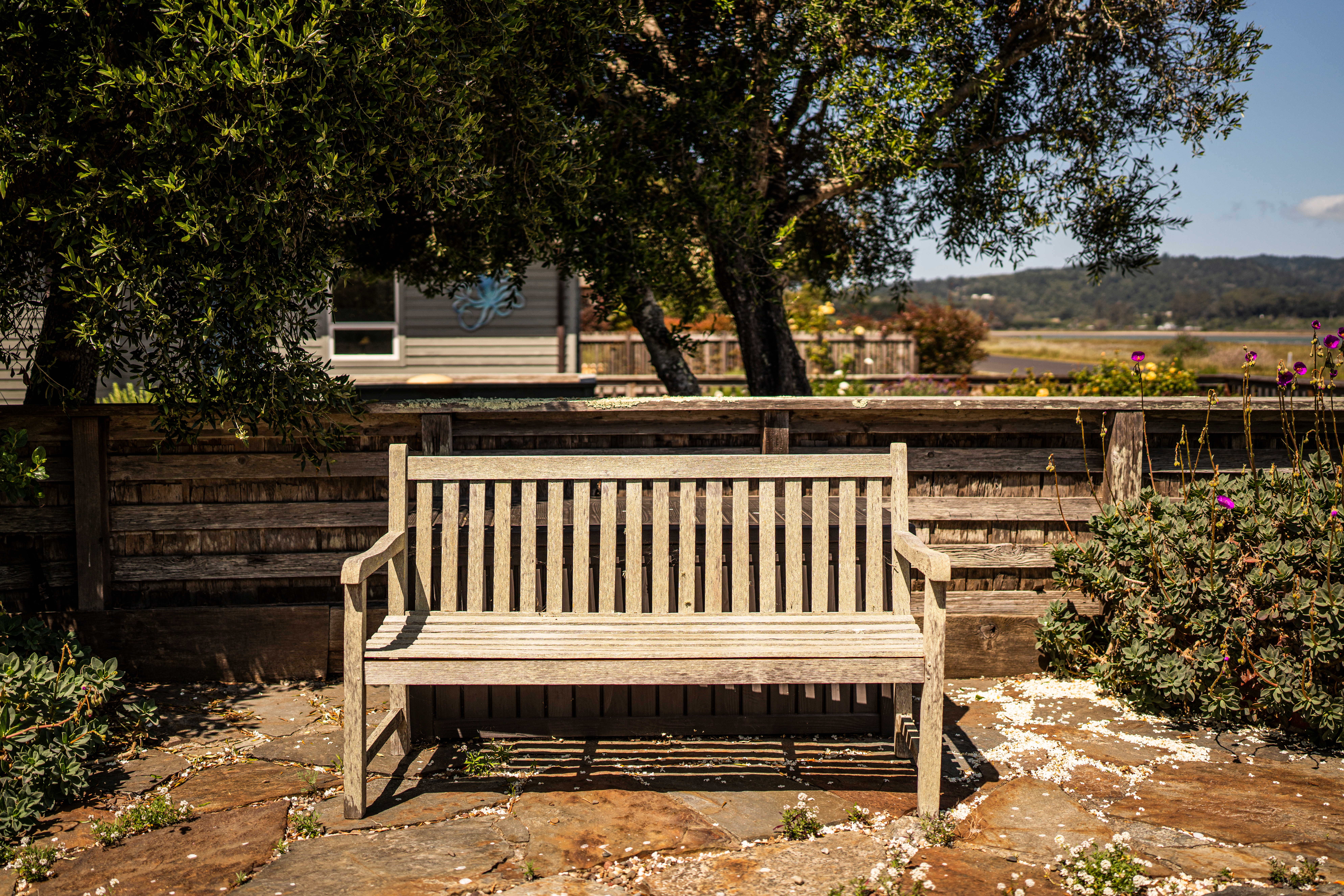 181 Dipsea Road | Photo 29