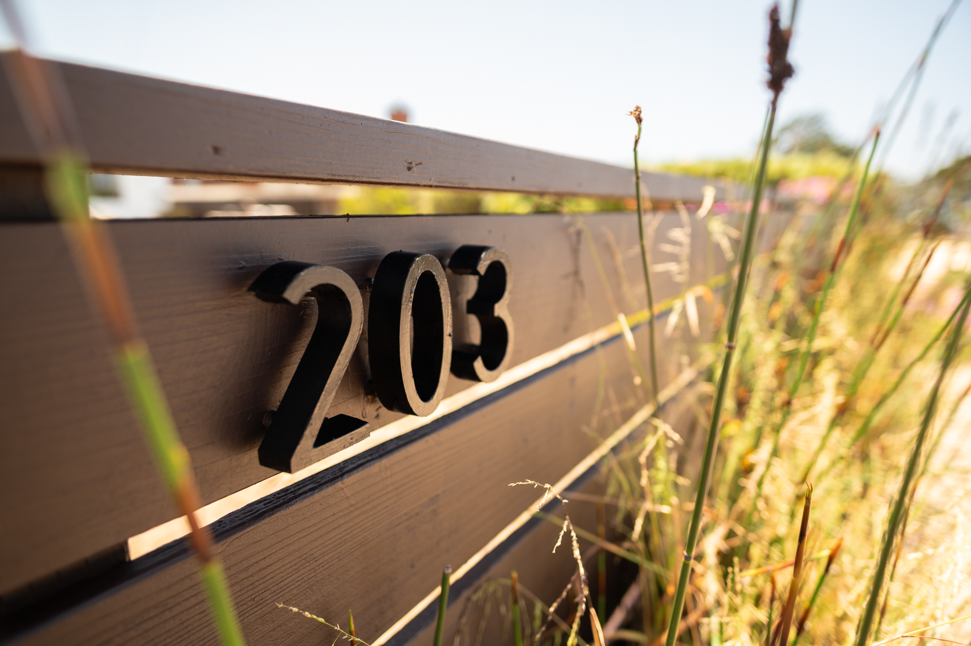 203 Dipsea Road | Photo 44