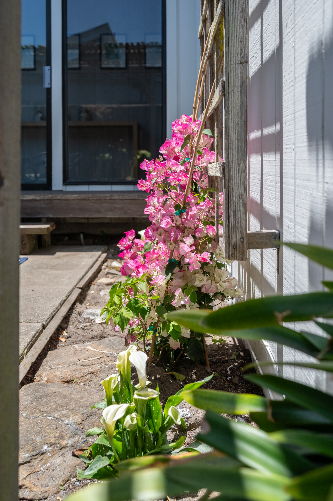 203 Dipsea Road | Photo 43