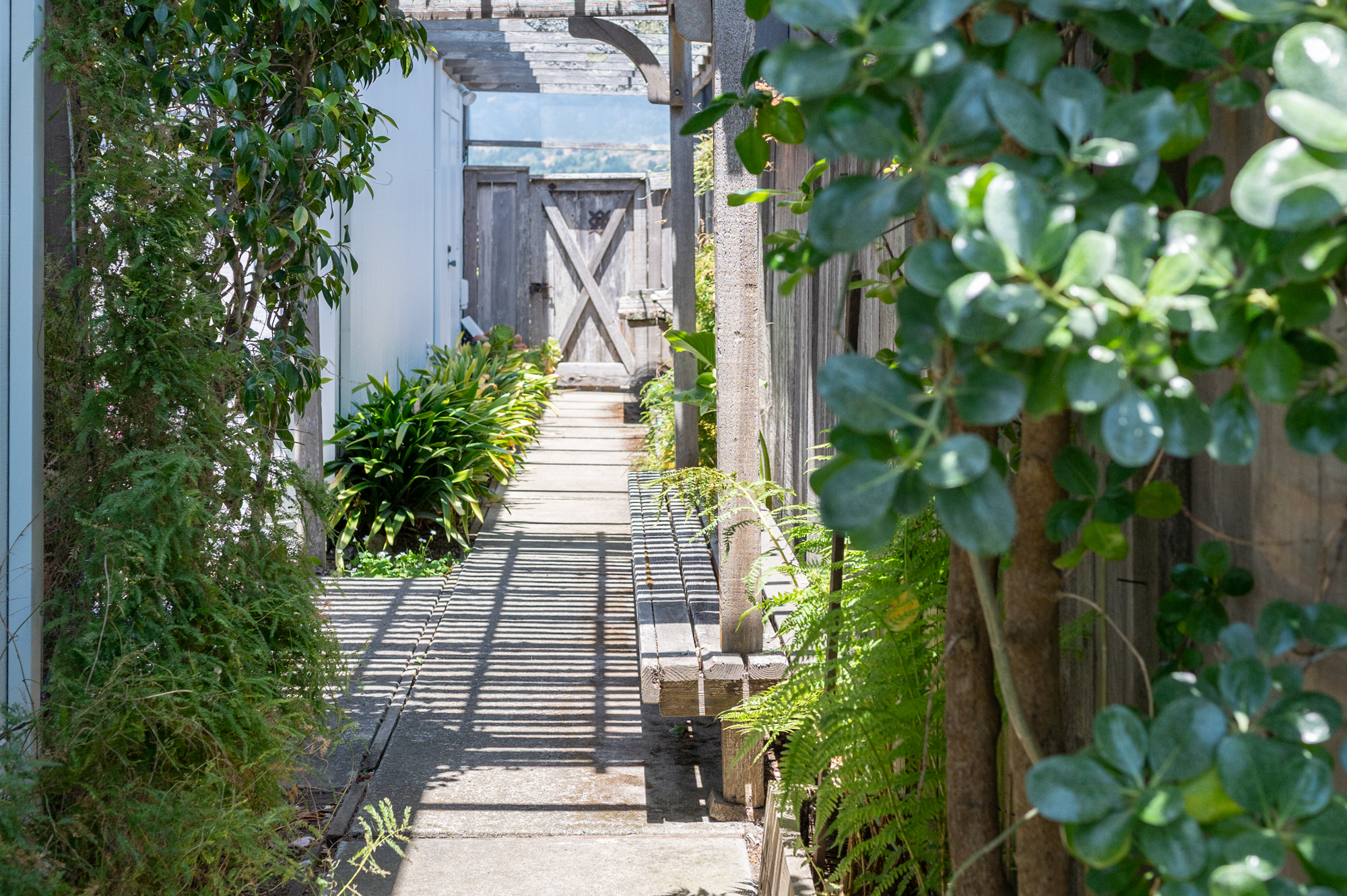 203 Dipsea Road | Photo 42