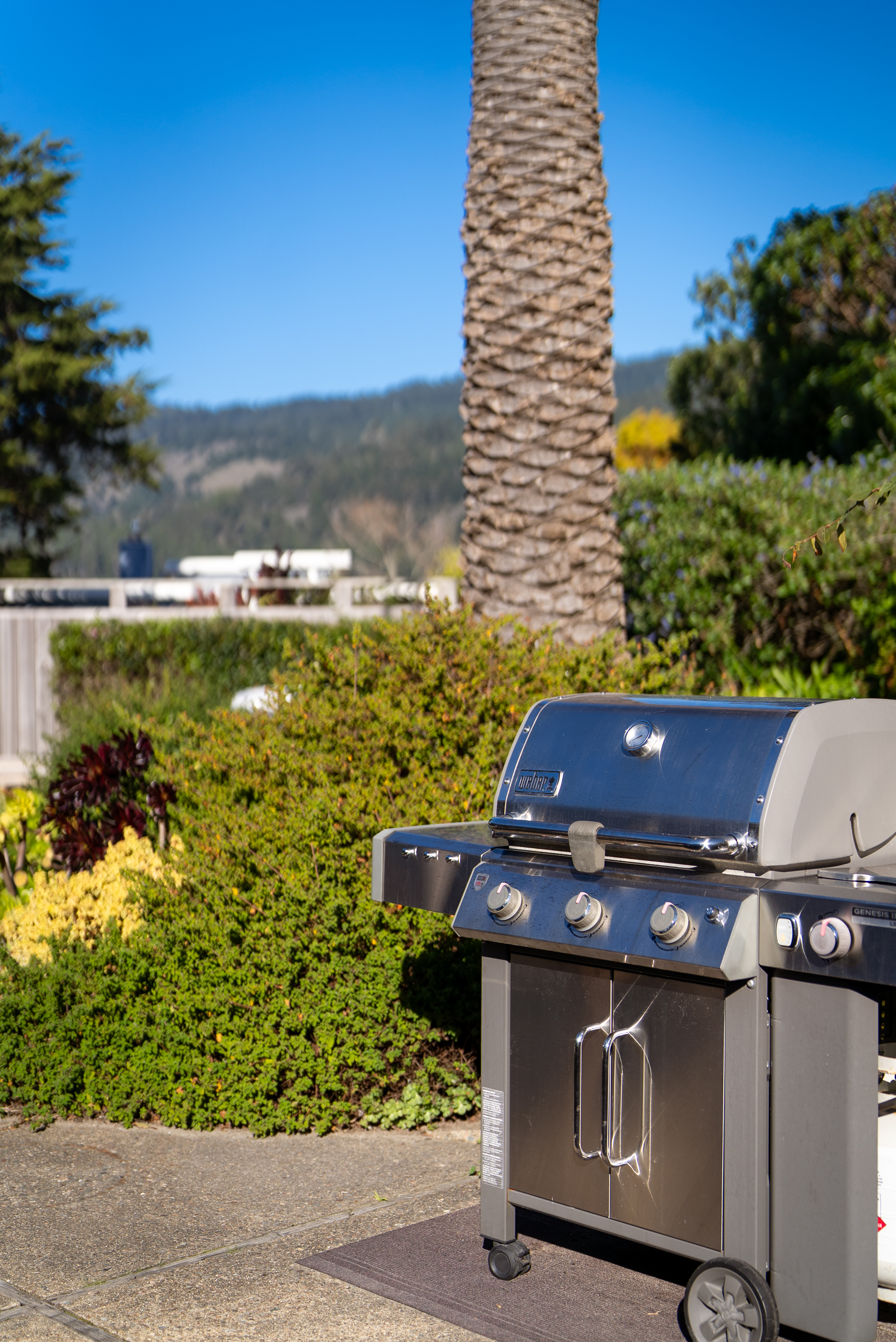 248 Seadrift Road | Photo 38