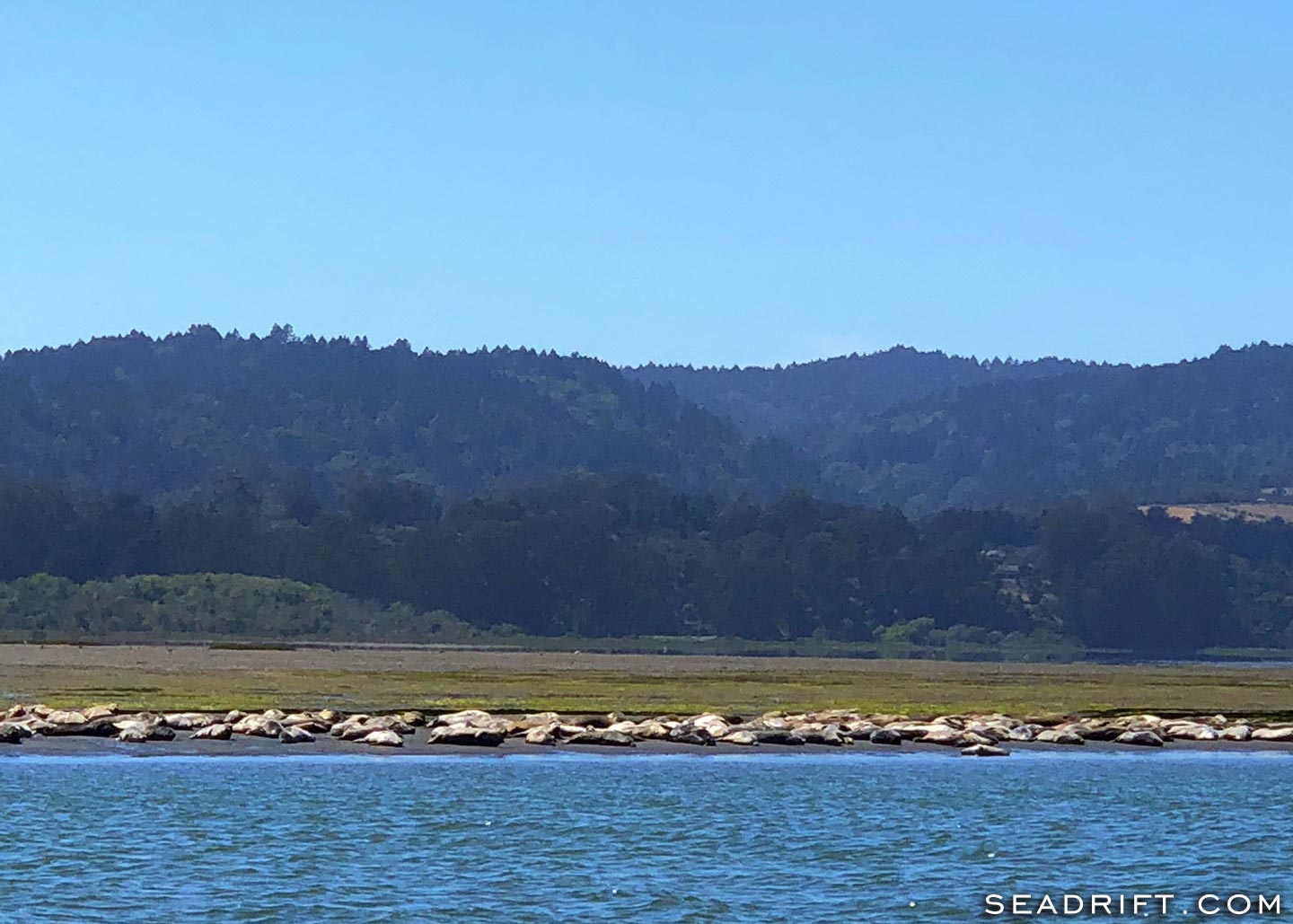 311 Seadrift Road | Photo 19