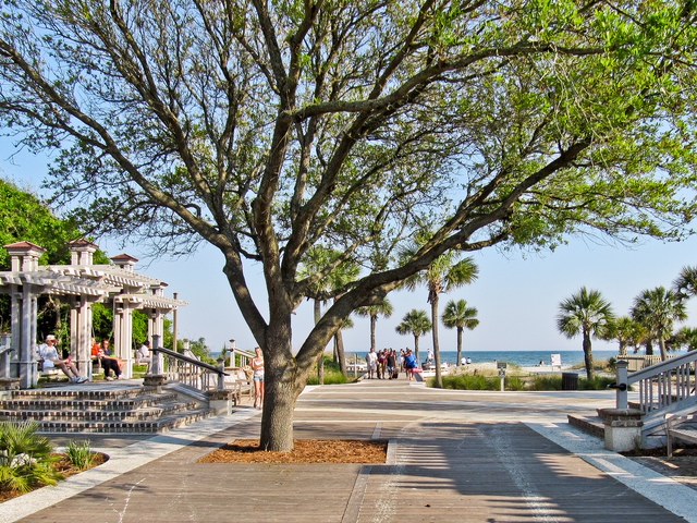 Forest Beach Villa 430 | Photo 25
