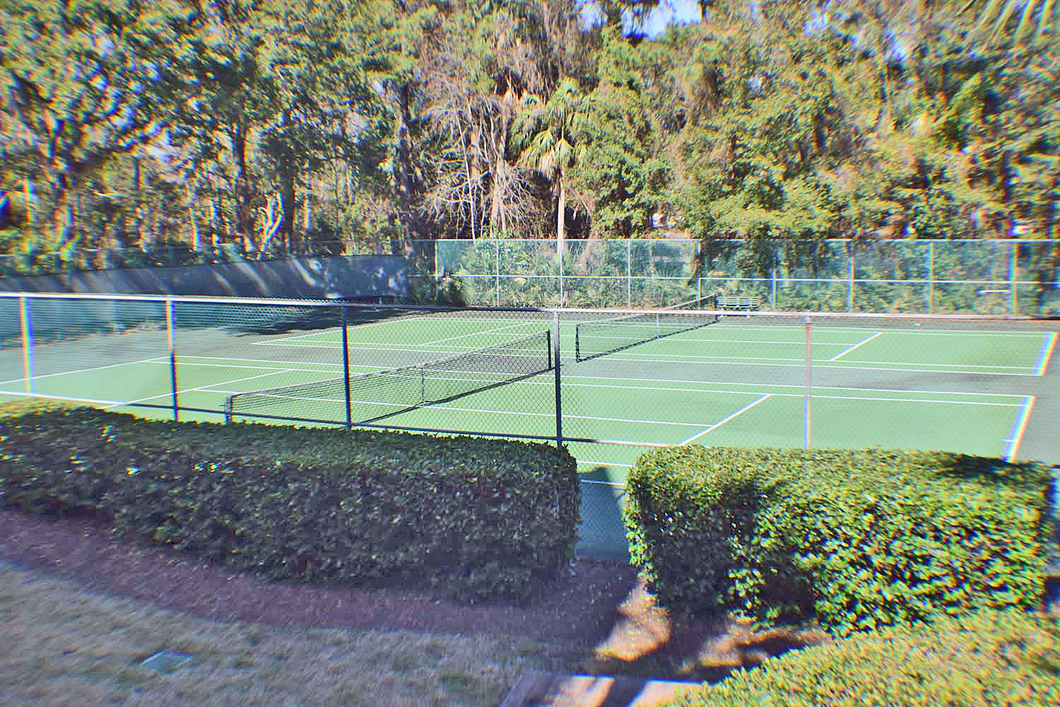 Forest Beach Villa 430 | Photo 24