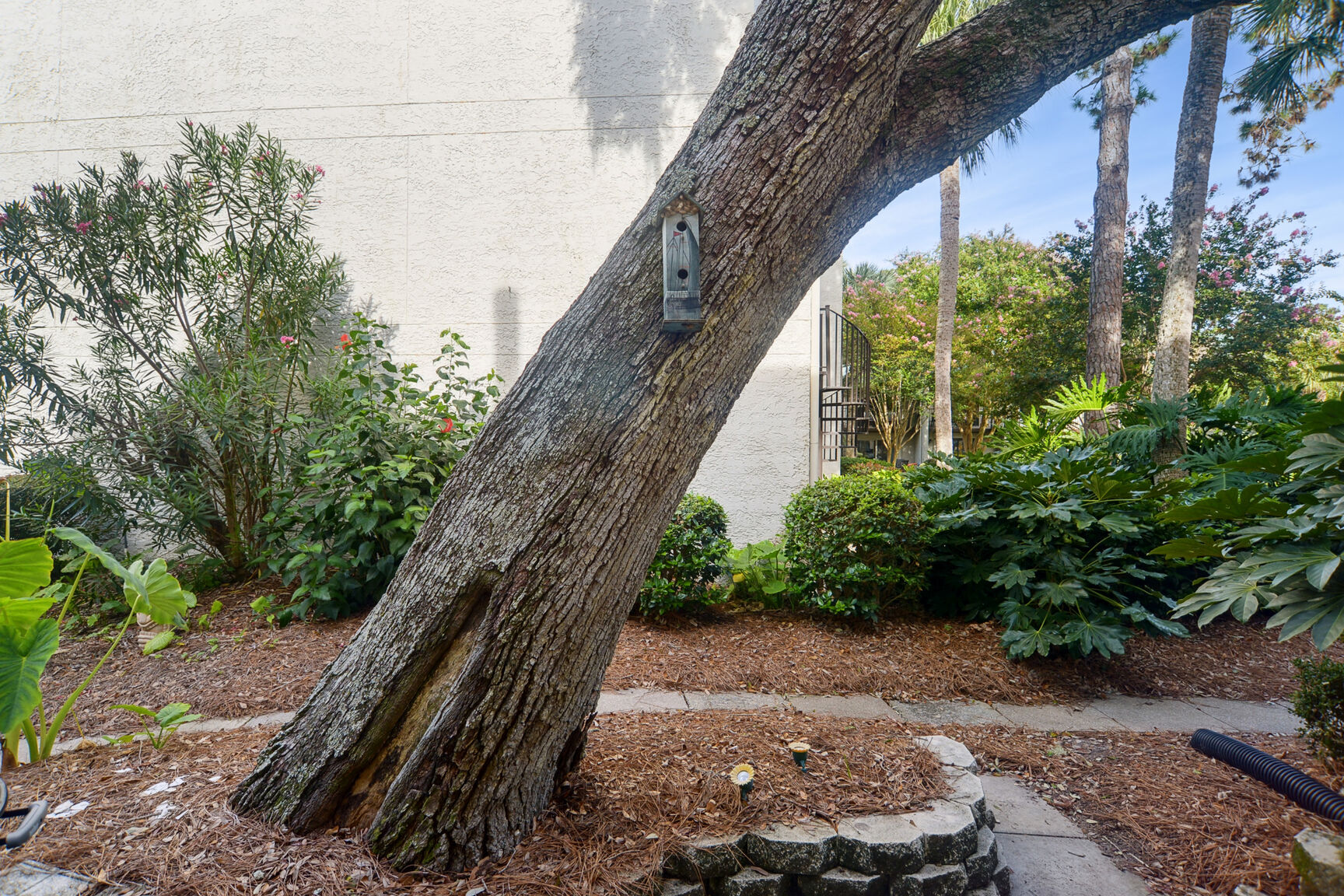 Surf Court 45 | Photo 23