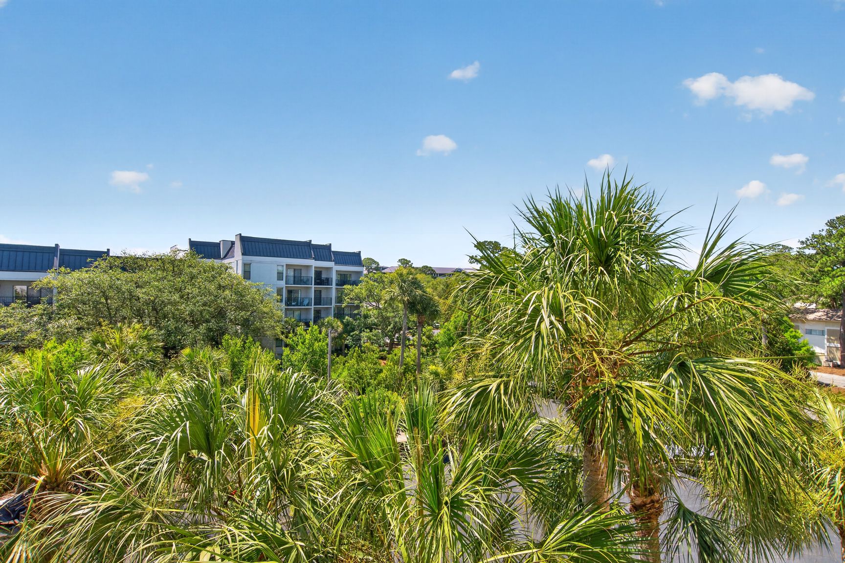 Ocean Walk 405 | Photo 28