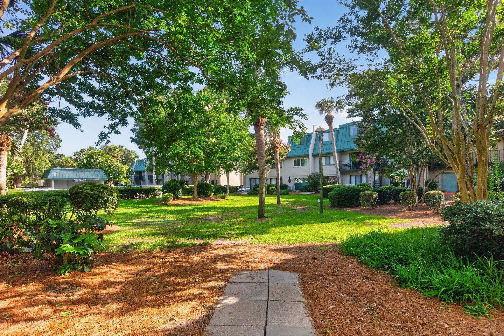 Surf Court 56 | Photo 11