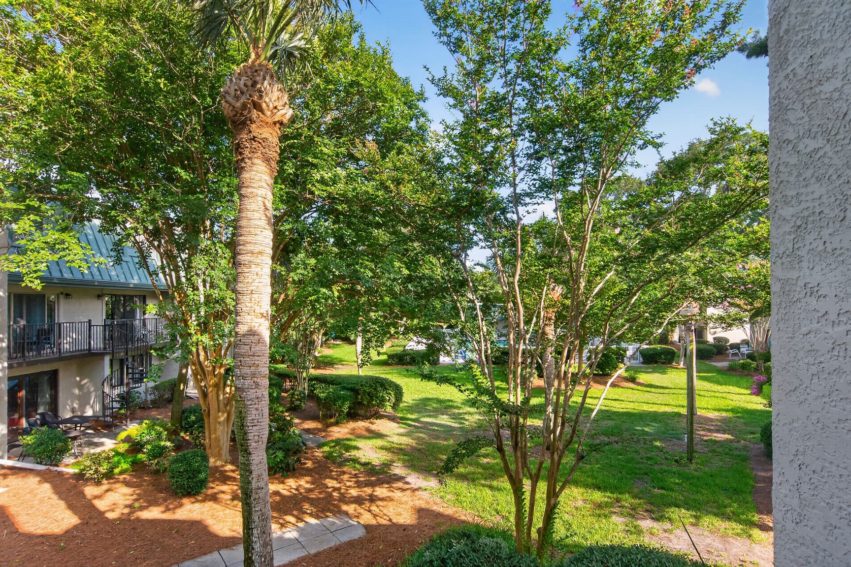 Surf Court 56 | Photo 4