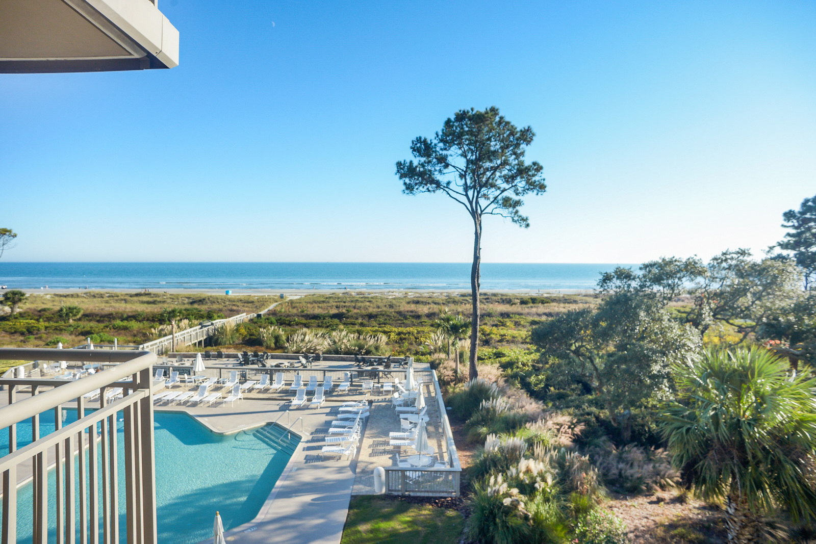 Deck View