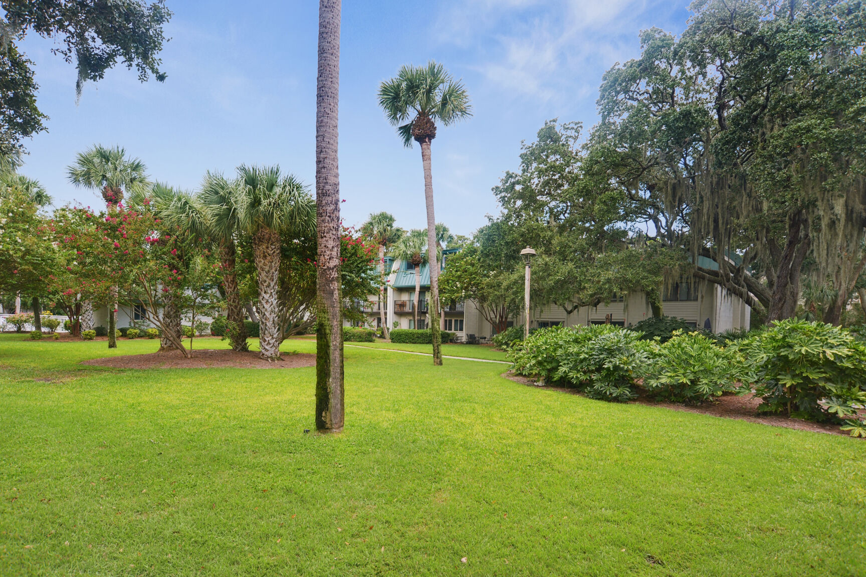 Surf Court 14 | Photo 22