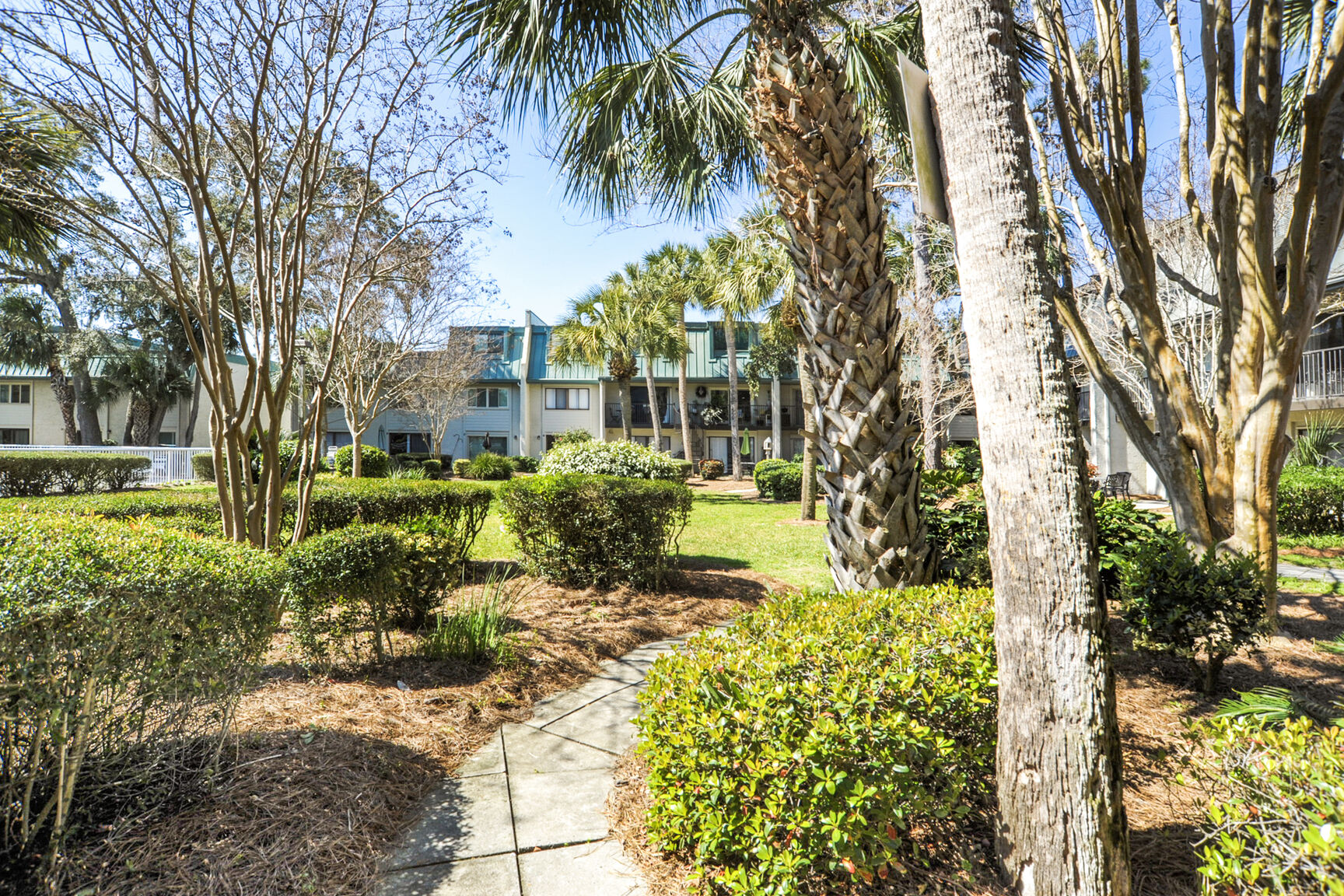 Surf Court 66 | Photo 27