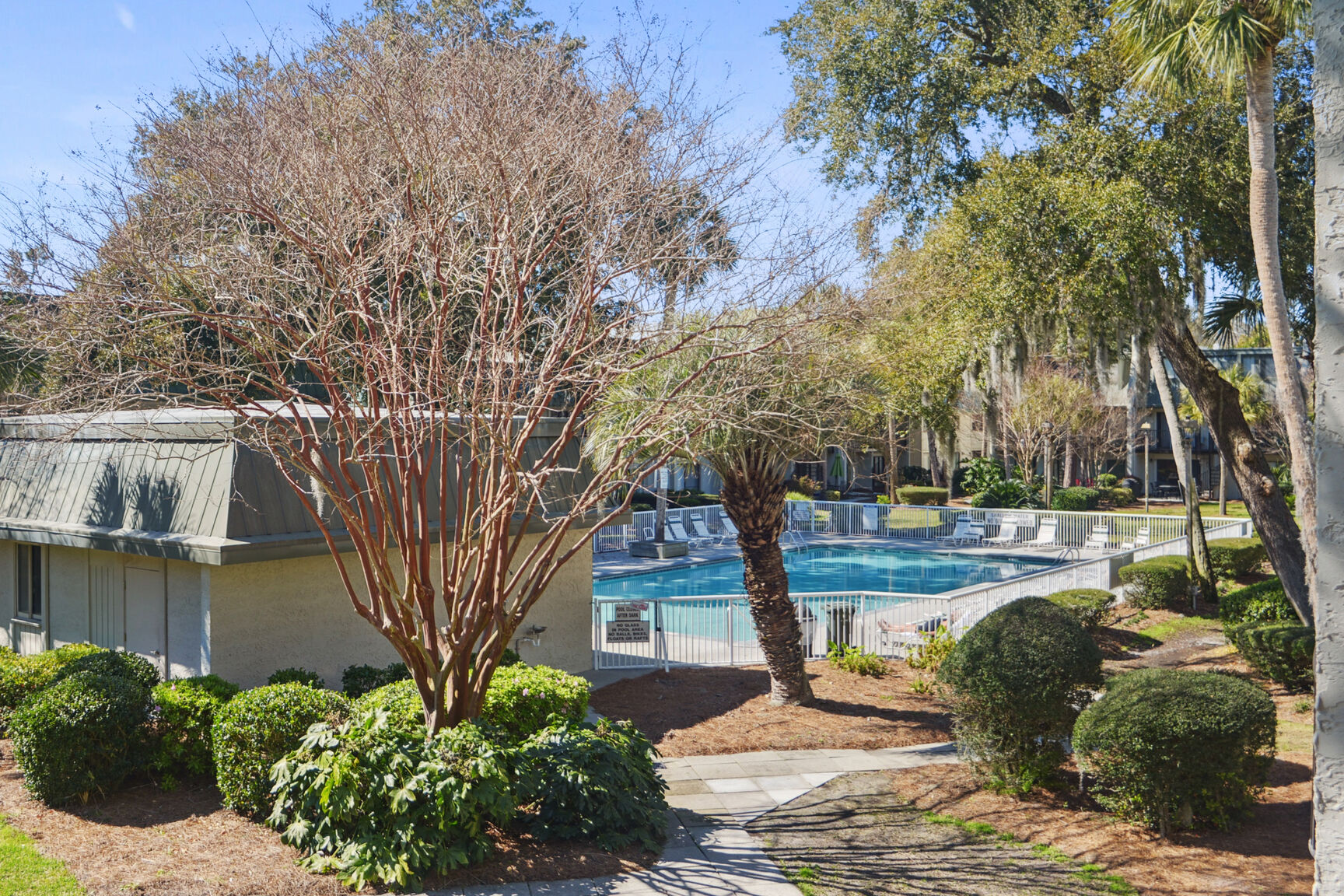 Surf Court 81 | Photo 23