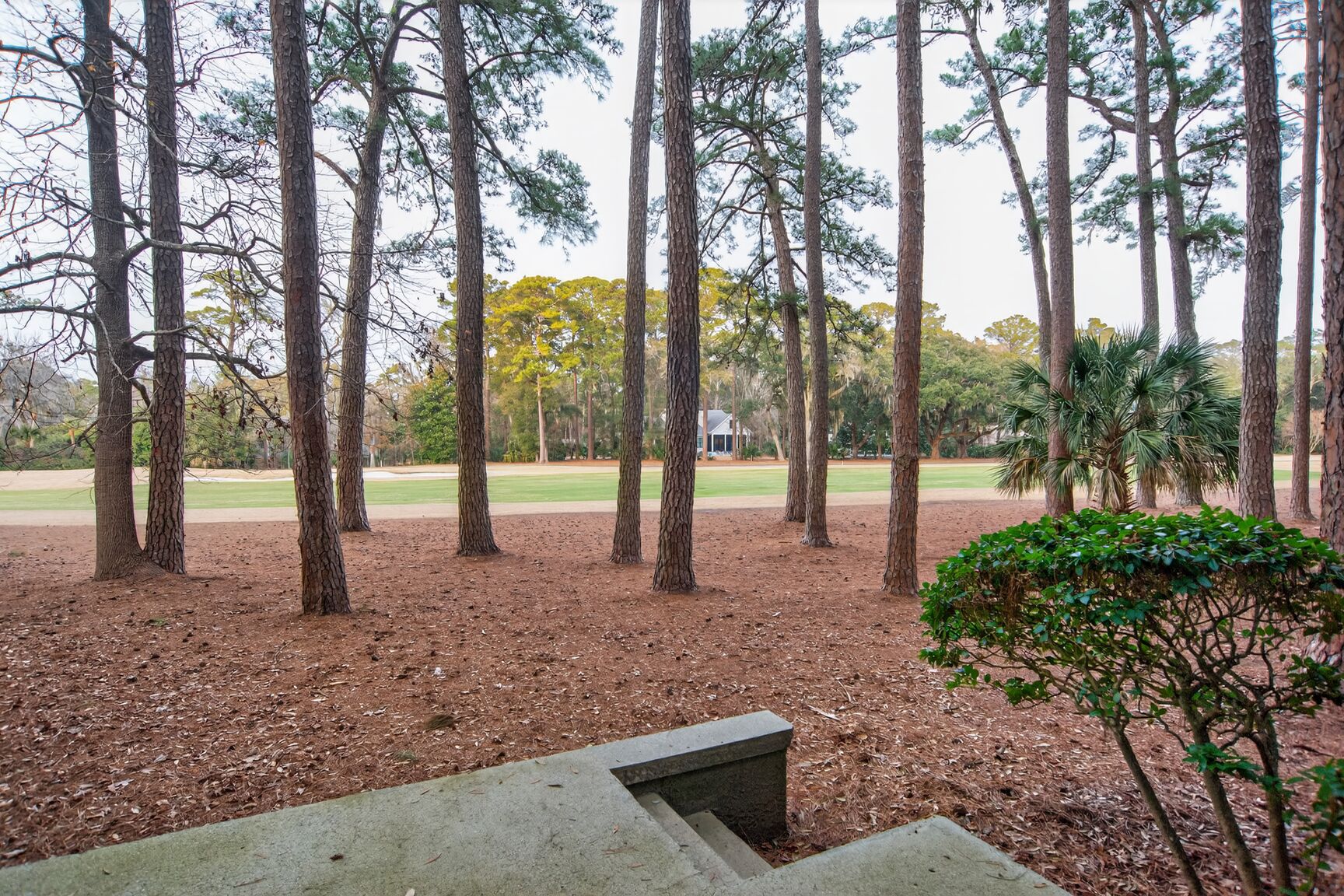 Waterford C-5 | Photo 25
