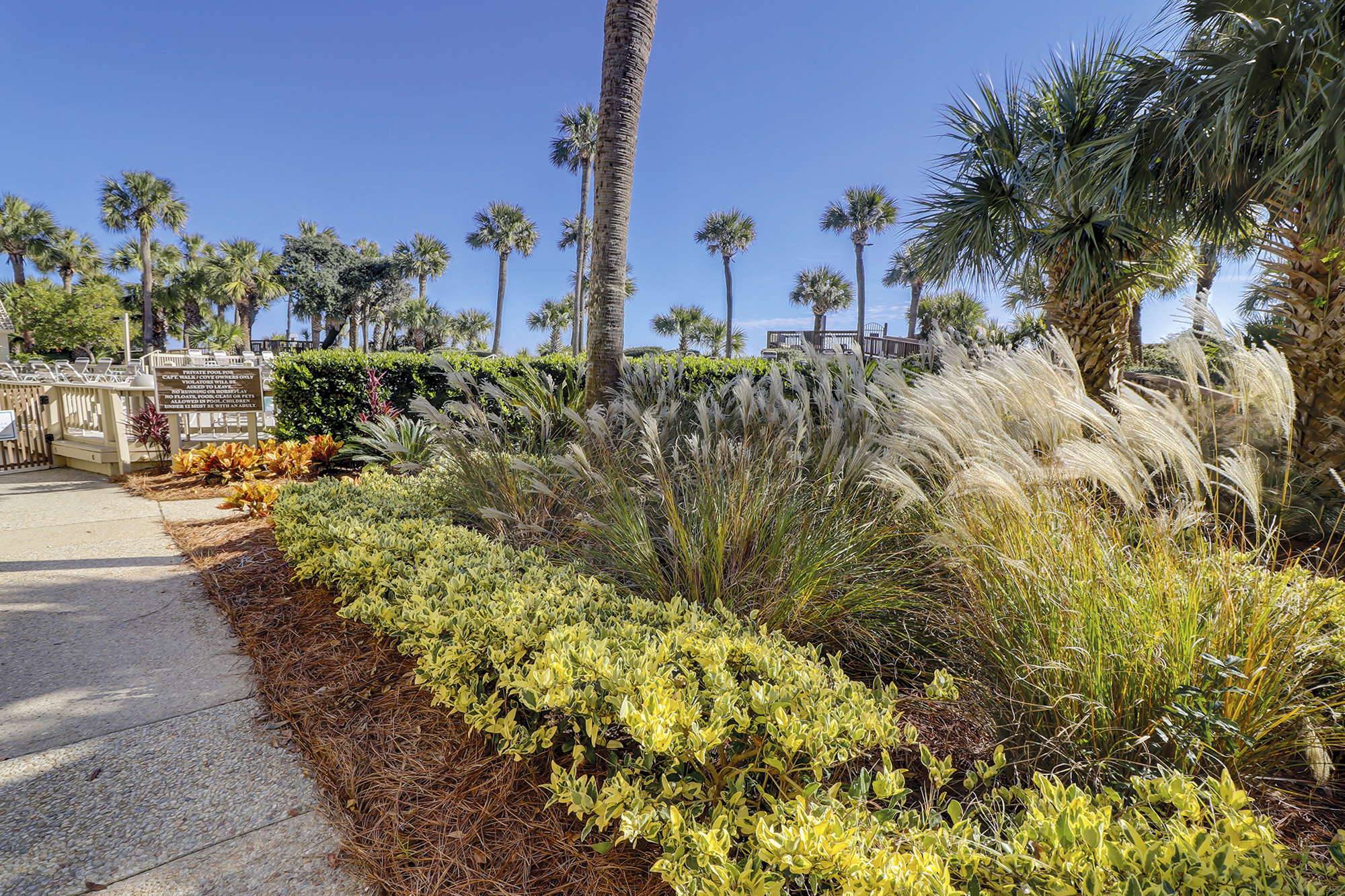 Beautiful Landscaped Grounds