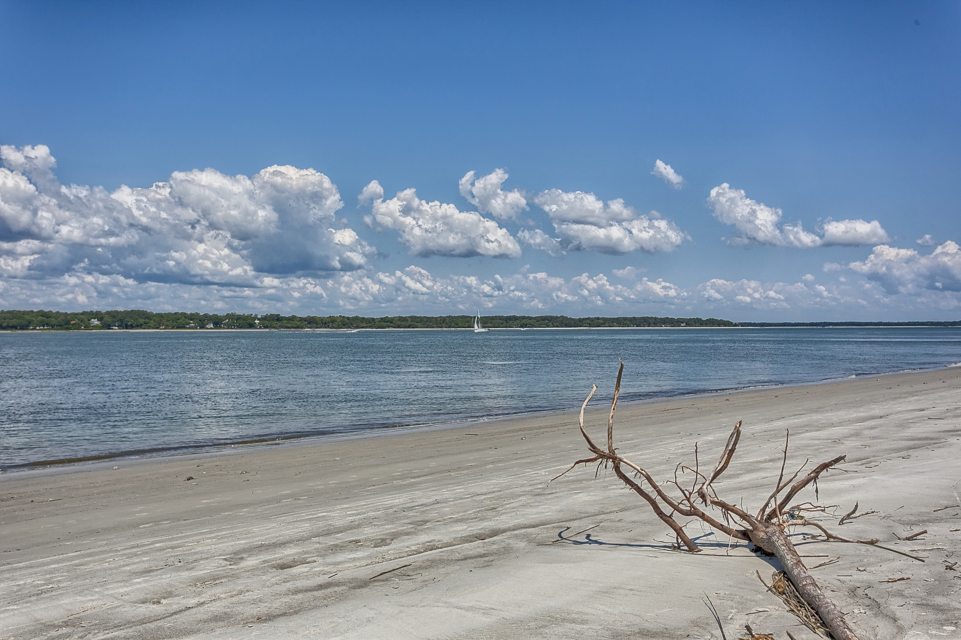 The Beach and Sound