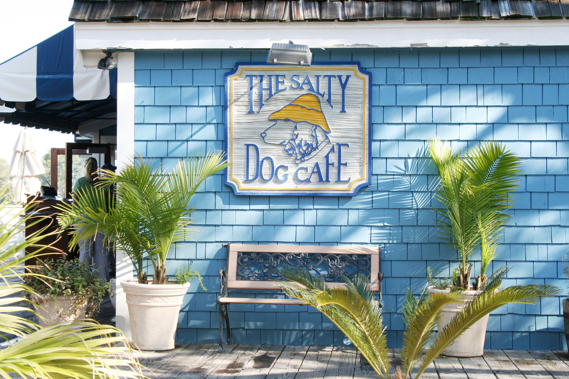 Walk easily to the Salty Dog